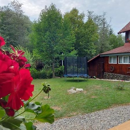 La Cabana Bunicului Villa Sibiu Exterior photo